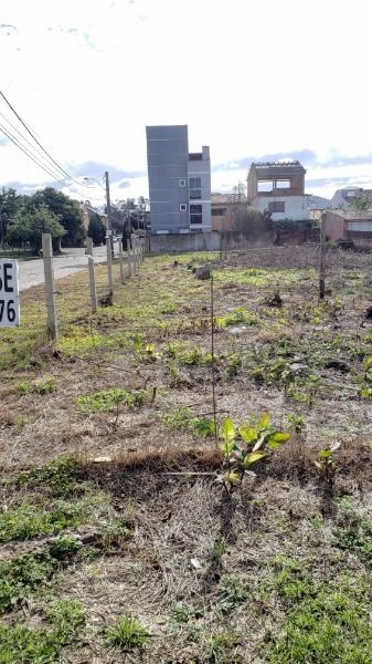 Terreno à venda, 641m² - Foto 3