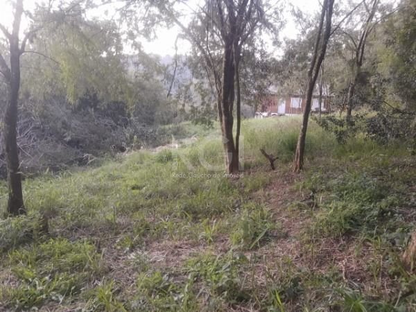 Terreno à venda, 7064m² - Foto 6